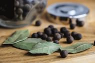 Improves kidney health. (Image via Unsplash/vojtech Havlis)